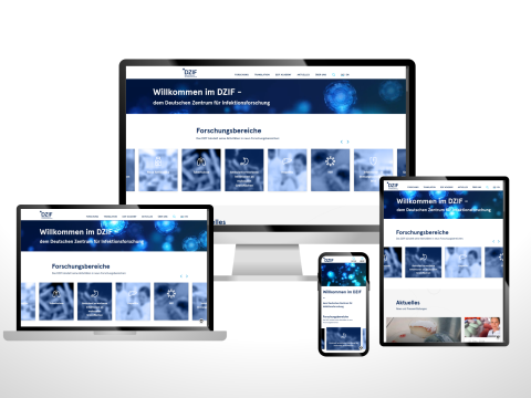 Mockup dzif.de auf verschiedenen Screens